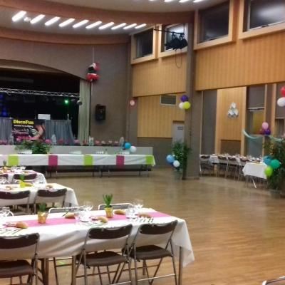 Chatillon sur Loire (45)